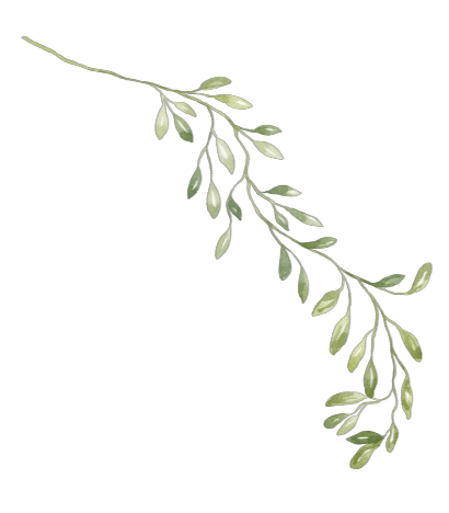 Decorative left header element