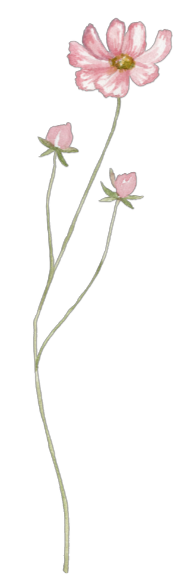 Decorative middle element