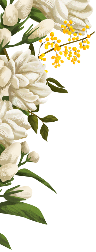 Top Left Corner Decoration